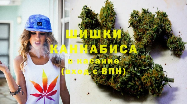 соль ск Дмитров