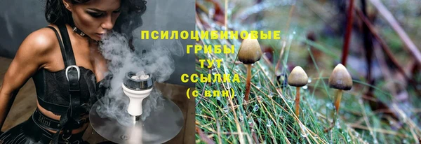 соль ск Дмитров