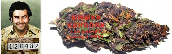 кокаин колумбия Дмитриев