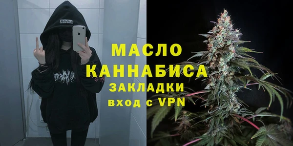 соль ск Дмитров